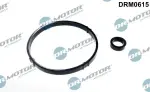 Dr.Motor Automotive  Tihendikomplekt,õliradiaator DRM0615
