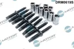 Dr.Motor Automotive Pihustipolt / sissepritsedüüsi kinnitus DRM0619S