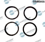 Dr.Motor Automotive  Tihendikomplekt,Sisselaskekollektor DRM095S