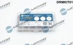 Dr.Motor Automotive Kaitseseib,  sissepritse (pihustiseib) DRMKIT01