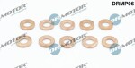 Dr.Motor Automotive Kaitseseib,  sissepritse (pihustiseib) DRMP06