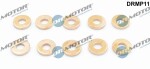 Dr.Motor Automotive Kaitseseib,  sissepritse (pihustiseib) DRMP11