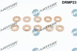 Dr.Motor Automotive Kaitseseib,  sissepritse (pihustiseib) DRMP23