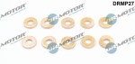 Dr.Motor Automotive Kaitseseib,  sissepritse (pihustiseib) DRMP27