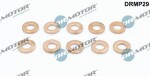 Dr.Motor Automotive Kaitseseib,  sissepritse (pihustiseib) DRMP29