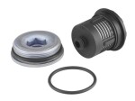 BORGWARNER DS120456 / hydraulic filter, multi-plate clutch of a four-wheel drive vehicle
