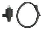 DZE DZE04019 / ignition coil