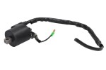 DZE DZE10064 / ignition coil