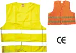 laste vest alburnus