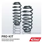 EIBACH  Vedrustusekomplekt, vedrud Pro-Kit E10-20-022-04-20