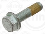 ELRING  Kruvi 030.890