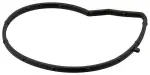 ELRING Tihend, veepump 387.590