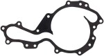 ELRING Tihend,  veepump 430.440