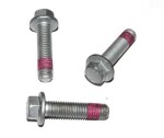 ELRING Kruvi 729.621