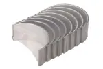 ENGITECH  Kepsulaagrite komplekt ENT074023 STD