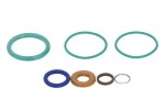 ENGITECH Remondikomplekt,  Common-Rail süsteem ENT250336