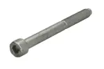 ENGITECH Pihustipolt / sissepritsedüüsi kinnitus ENT250845