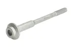 ENGITECH Pihustipolt / sissepritsedüüsi kinnitus ENT250846