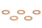 Banjo regulaator, seib (banjo, toru läbimõõt: 6mm, ID 10; 10mm x 1mm, hind ühiku kohta 5tk)