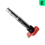 ERA Süütepool 12V 880065