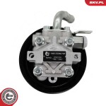 ESEN SKV Roolivõimendipump / Hüdraulikapump 10SKV339