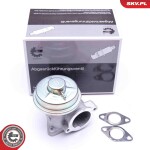 ESEN SKV EGR-klapp 14SKV092