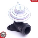 ESEN SKV EGR-klapp 14SKV205