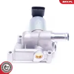ESEN SKV EGR-klapp 14SKV207