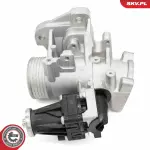 ESEN SKV EGR-klapp 14SKV264