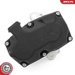 ESEN SKV EGR-klapp 14SKV267