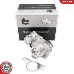 ESEN SKV EGR-klapp 14SKV267