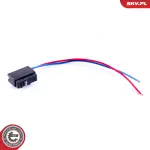 ESEN SKV  Lüliti, ukselukk 16SKV025
