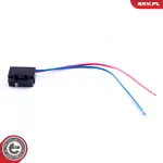 ESEN SKV  Lüliti, ukselukk 16SKV026