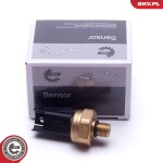 ESEN SKV 17SKV620