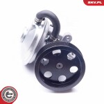 ESEN SKV Vaakumpump (pidurid) 18SKV020