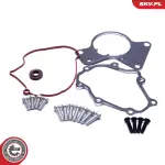 ESEN SKV Remondikomplekt,  vaakumpump(pidurisüsteem) 18SKV802