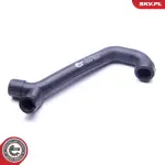 ESEN SKV Voolik, Karterituulutus 31SKV113