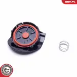 ESEN SKV Membraan, karteri tuulutus 31SKV141