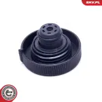 ESEN SKV kork jahutusvedeliku paak 61SKV008