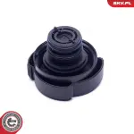 ESEN SKV kork jahutusvedeliku paak 61SKV015