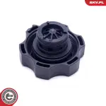 ESEN SKV kork jahutusvedeliku paak 61SKV023