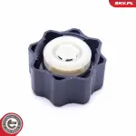 ESEN SKV kork jahutusvedeliku paak 61SKV025