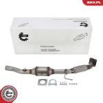 ESEN SKV Katalüsaator 62SKV173