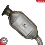 ESEN SKV Katalüsaator 62SKV196