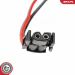 ESEN SKV  Salongipuhur 68SKV217
