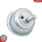 ESEN SKV Mootoripadi 75SKV173