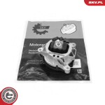 ESEN SKV Paigutus, Mootor 75SKV179