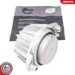 ESEN SKV Mootoripadi 75SKV298