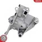 ESEN SKV Õlipump 77SKV050