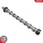 ESEN SKV Распредвал 80SKV009
